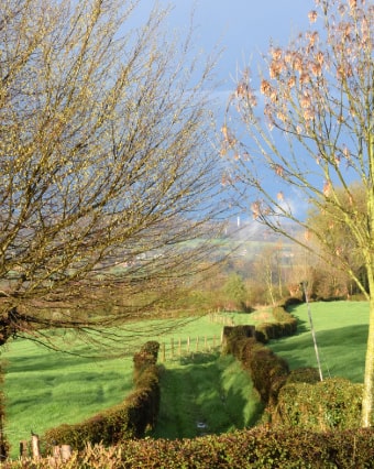 Wandelingen in de buurt