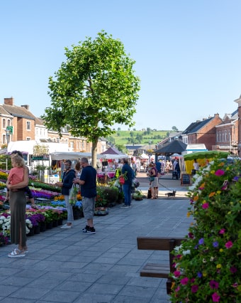 Wandelingen in de buurt